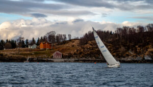 Fomle i fint driv ved Måga